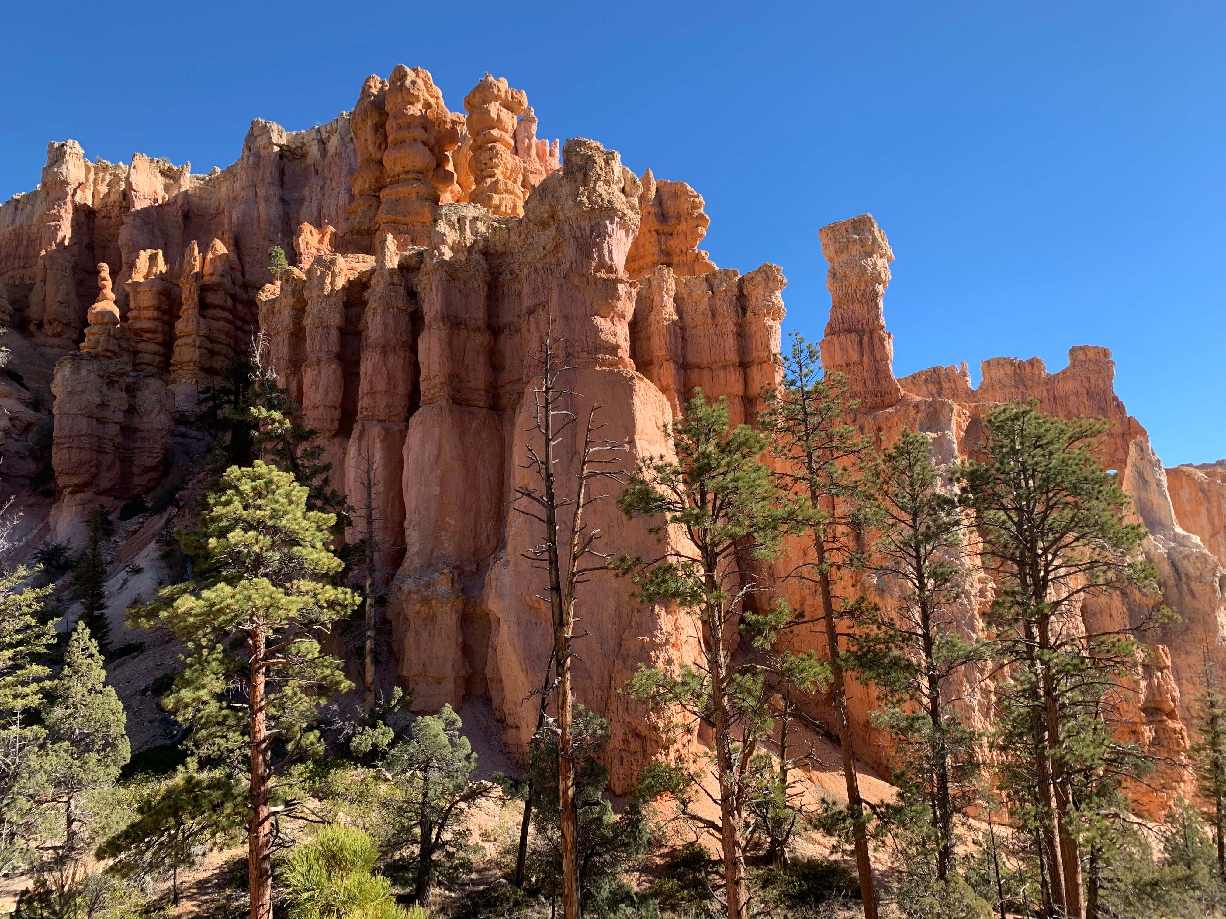 Bryce Canyon NP